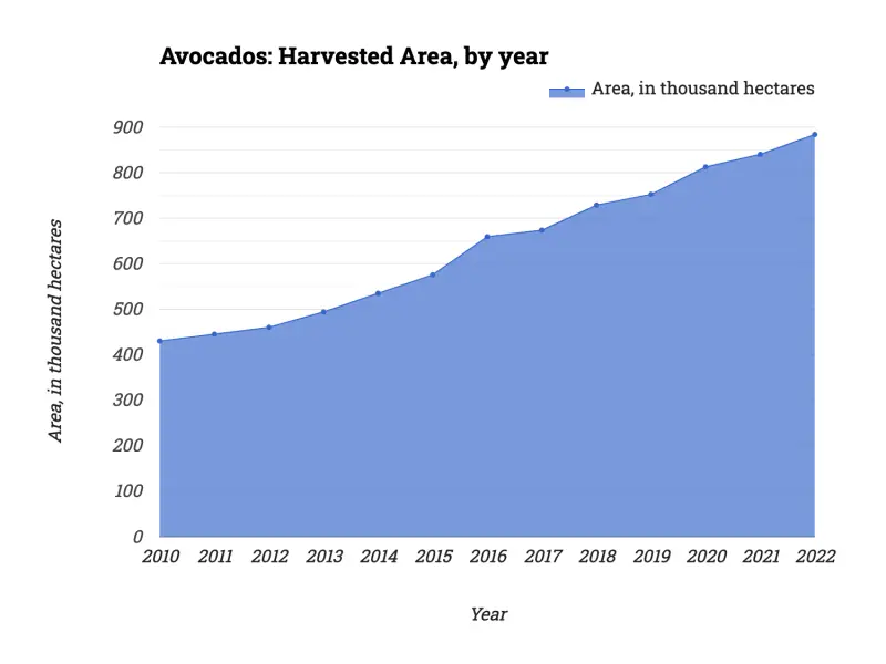 Avocados: Harvested Area, by year